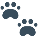 animals,dog,print,animal,paw,paw print,footprint
